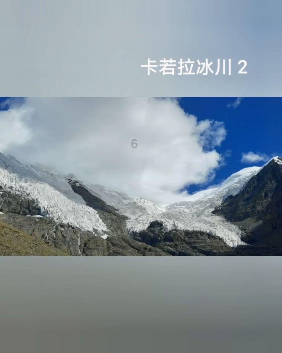 新春购物博览会被曝售“假牛肉”，官方回应